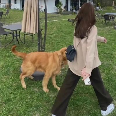 上古情歌